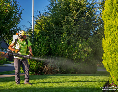 Professional Tree Removal Services in Dundee OR